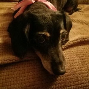 Meet your Posher, Vanessa